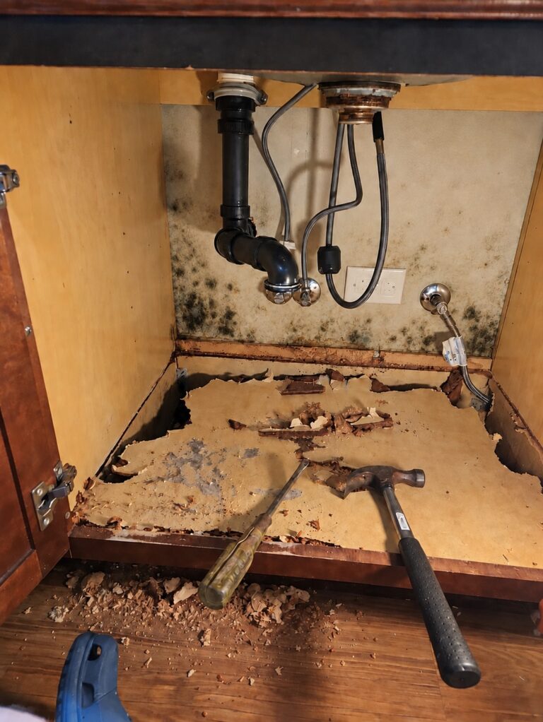 Mold-Removal-FullProRestoration